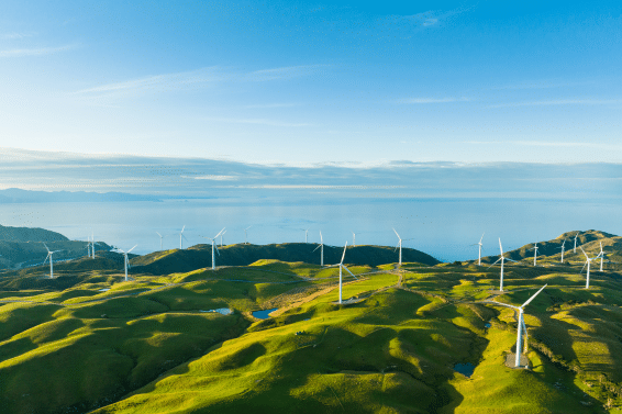 Leveraging BVI Companies for a Greener Future: Green Financing Structures