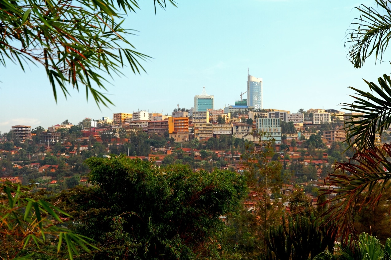 A photo of the Kigali skyline in Rwanda, showing a view of a city in the distance and leaves and greenery in the foreground, taken on a bright sunny day