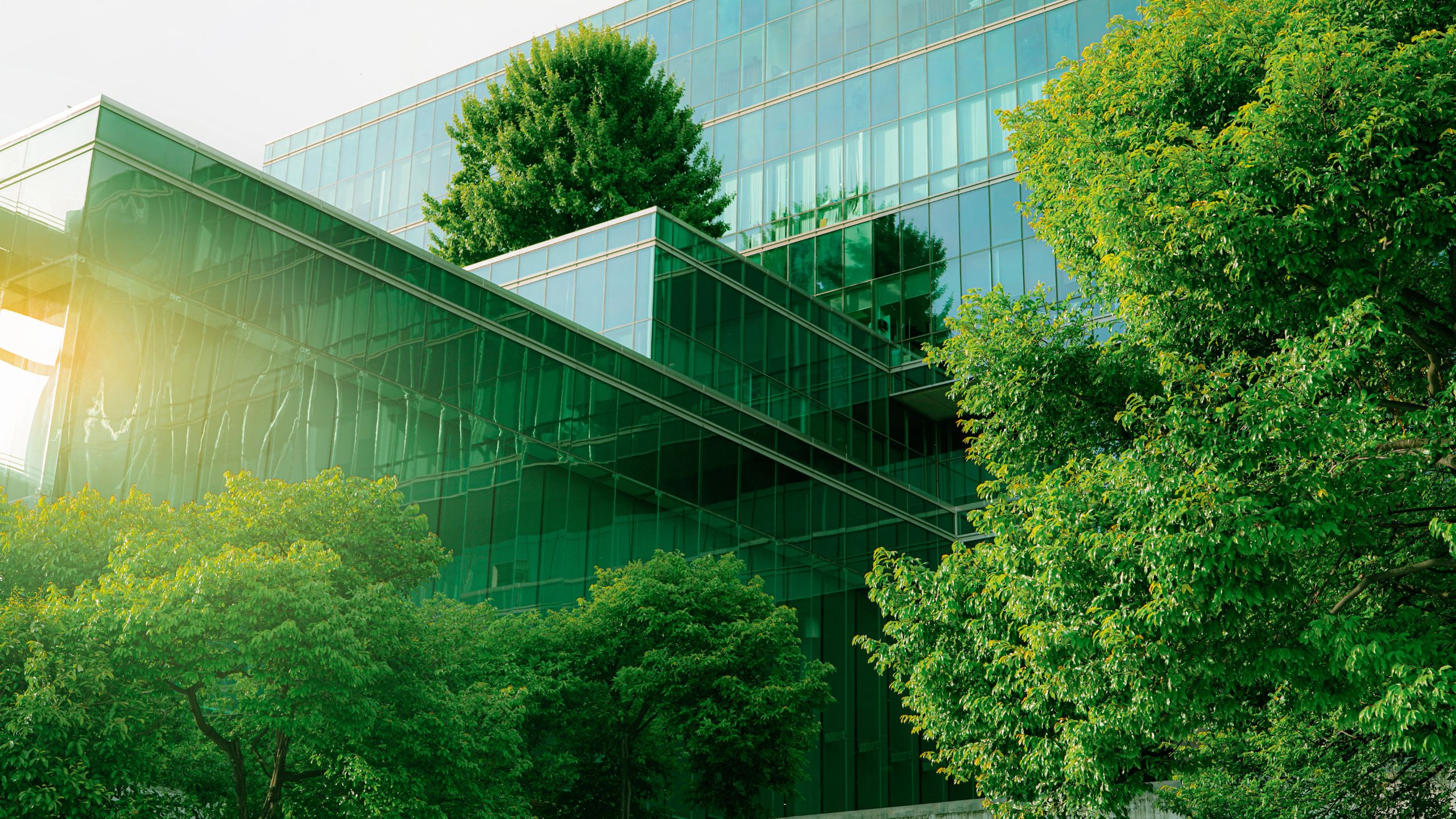 a green glass building with trees in front of it and the sun shining through from behind it