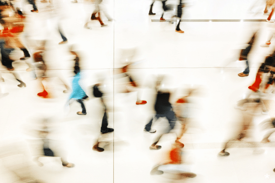 Immigration advent calendar