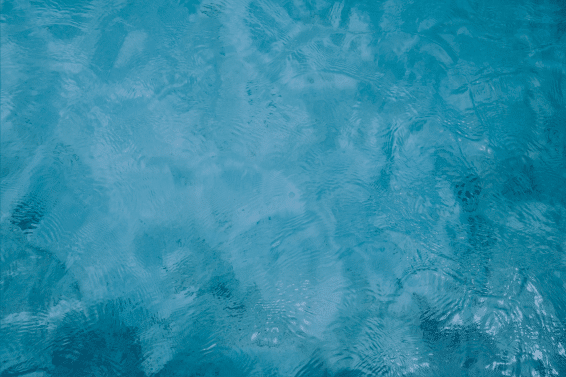 bookmakers and online games