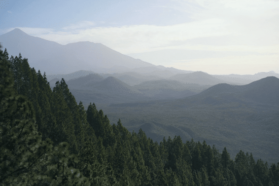 simplify climate reporting